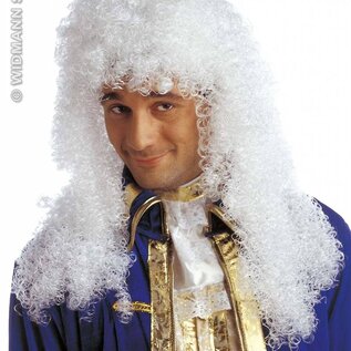 Carnavalskleding: Pruik, edelman