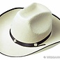 Carnavalshoed: Cowboy hoed met knoppen, vilt