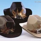 Carnavalsartikelen: Cowboy hoed met veren, vilt in diverse kleuren