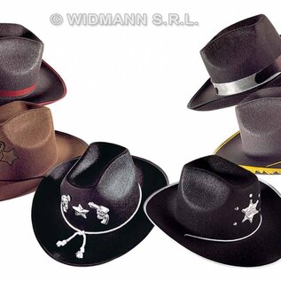 Carnavalsartikelen: Cowboyhoed met decoratie