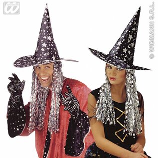 Carnavals hoofddeksels: Tovenaarshoed met zilver glitterhaar