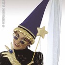 Carnavals-accessoires: Hoge hoed fee van stof