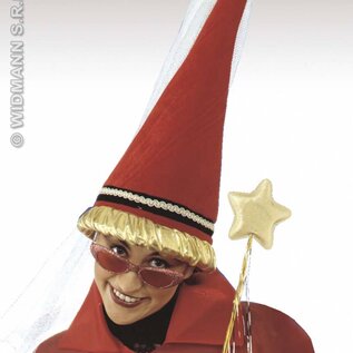 Carnavals-accessoires: Hoge hoed fee van stof