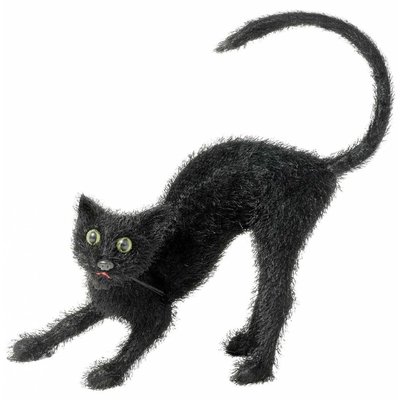 Halloweenaccessoires zwarte kater