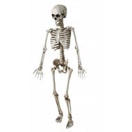 Horroraccessoires: Skelet kind 120 cm