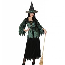 Halloweenkleding heks