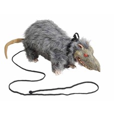 Halloweenaccessoires: Laat je rat uit