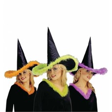 Halloweenaccessoires: Heksenhoed met maraboe