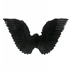 Zwarte vleugels voor zwarte engelen voor Halloween