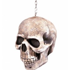 Horroraccessoires: Schedel (20 cm)