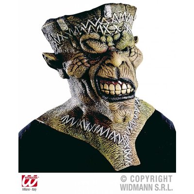 Halloweenaccessoires groot masker Ugly Frank