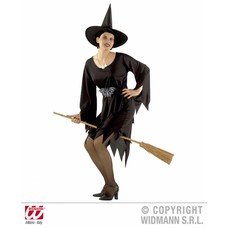 Halloweenkleding Crudelia heksenjurk