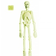 Halloweenaccessoires laboratorium skelet 90cm