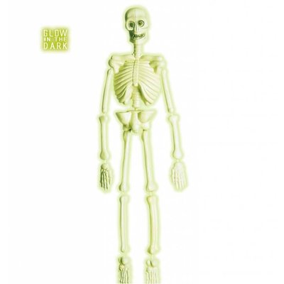 Halloweenaccessoires laboratorium skelet 90cm