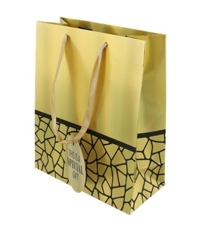 Cadeauverpakking - cadeautas 22,5x17,5cm