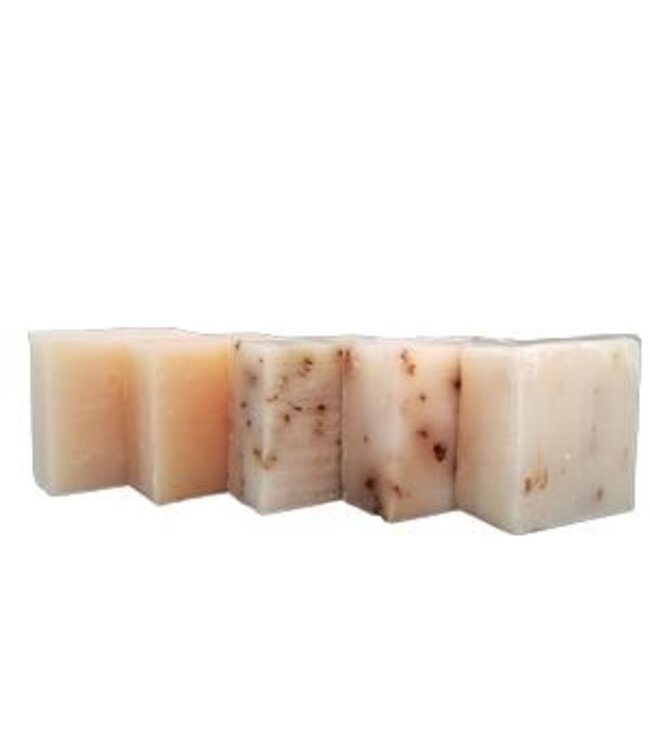 olijfzeep gember 50 gram