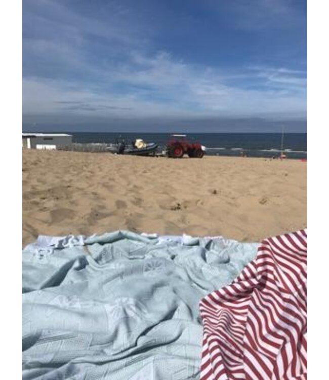 zomersprei Baklava grijsgroen 230x170cm