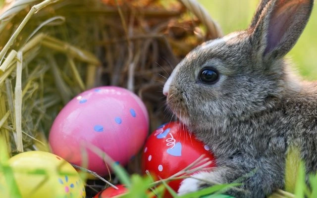 Konijntje bij paaseieren voor de Paasbingo