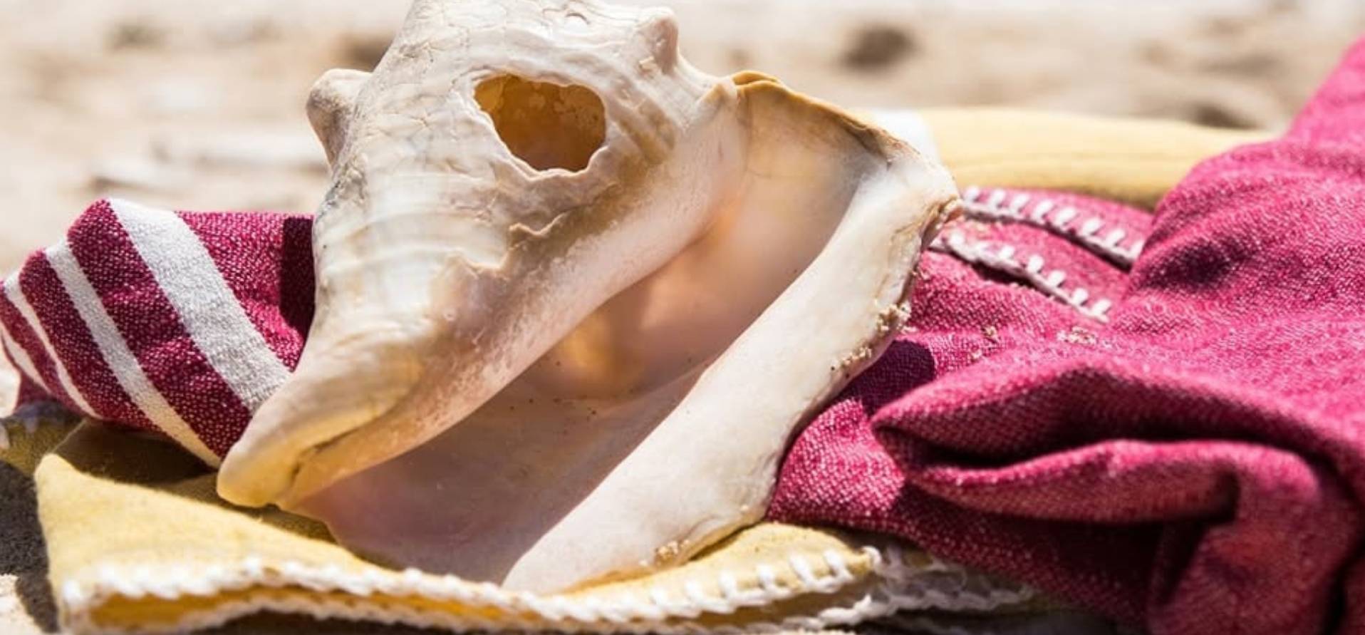 Je merkt pas wat je miste