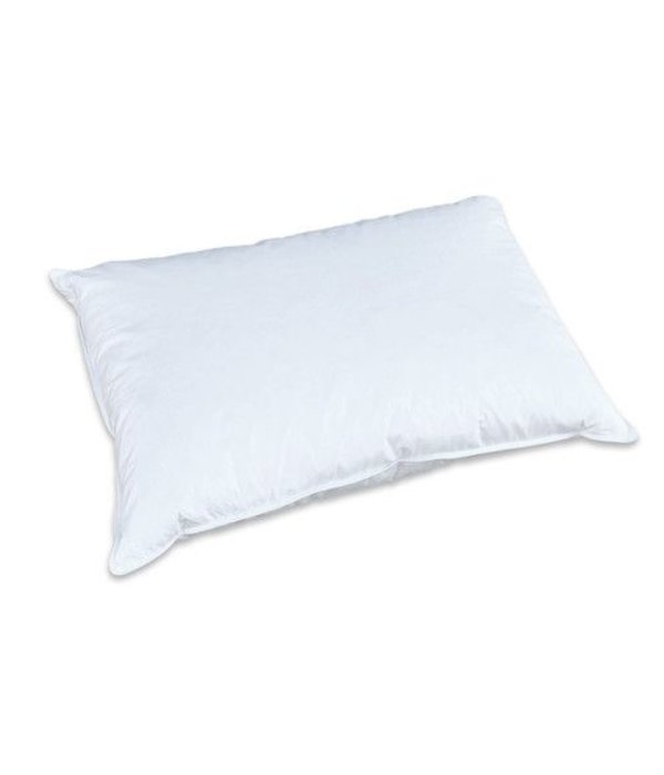 Liens Linnen 90% ganzendons kussen