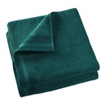 De Witte Lietaer Keukenhanddoek Excellence 60x40 pine green