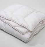 Liens Linnen herfst dekbed synthetisch Trapeze 200x200 cm