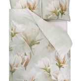 Designers Guild Yulan magnolia 240x220 met kussenslopen