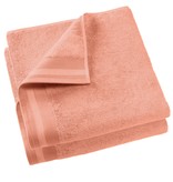 De Witte Lietaer keukenhanddoek Excellence 60x40 nude