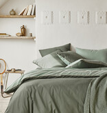 Essix Bons Jours palme/aloe 144TC