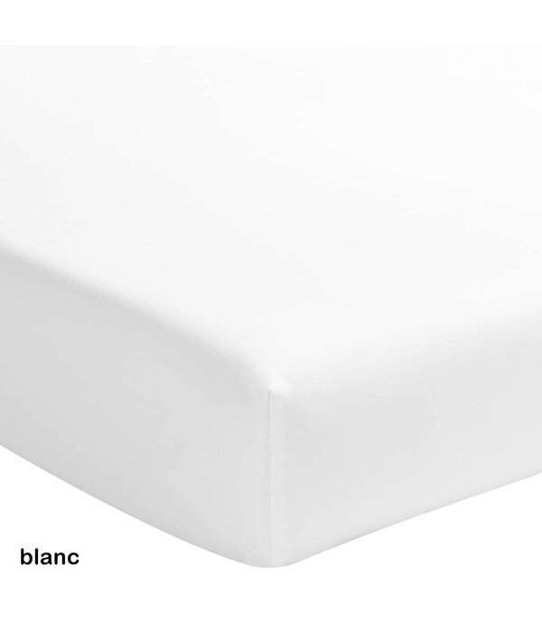 Designers Guild Gladys blossom cobalt