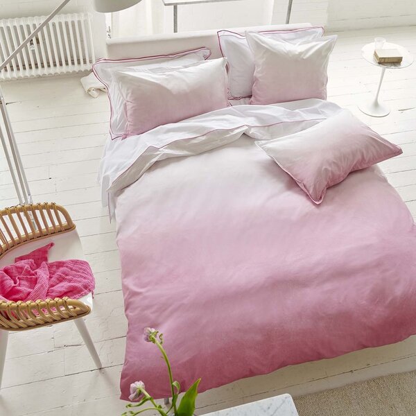 Shoshi Fuchsia