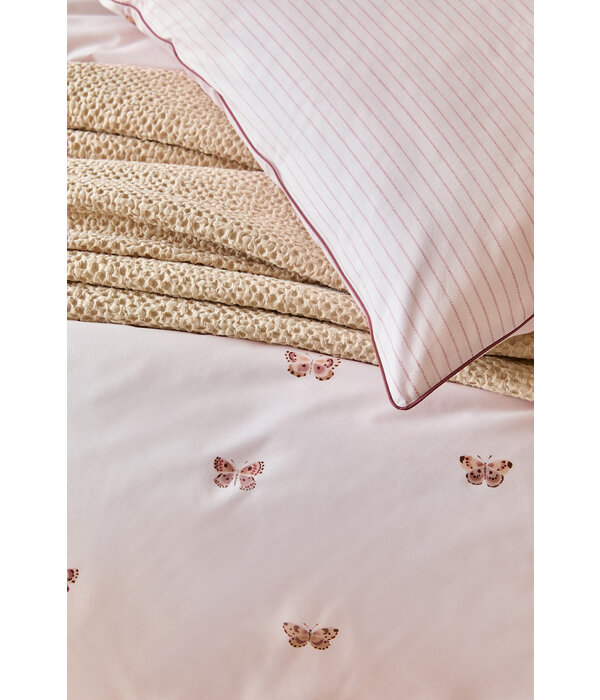 Essix Délicatesse 200TC