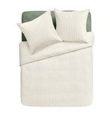 Essix Equilibre lichen (flanel)