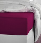 De Witte Lietaer hoeslaken Olivia beet red (uni) 200TC
