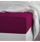 De Witte Lietaer hoeslaken Olivia beet red (uni) 200TC