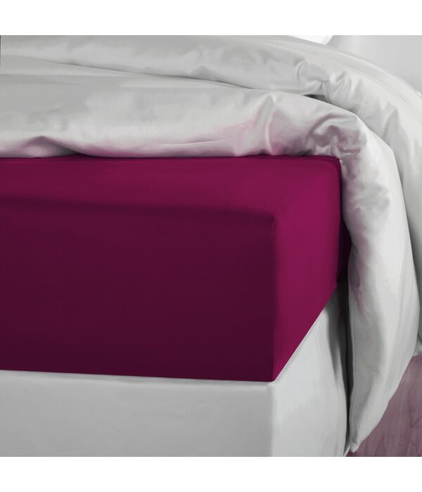 De Witte Lietaer hoeslaken Olivia beet red (uni) 200TC
