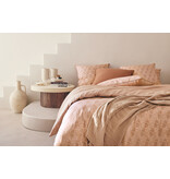 Essix Hypnos 200TC , vanaf