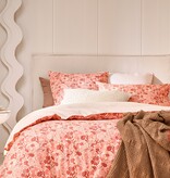 Essix Gloria 200TC