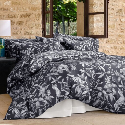 Schlossberg Calypso noir 300TC