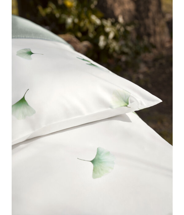 Schlossberg Aiko blanc 300TC