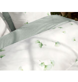 Schlossberg Aiko blanc 300TC