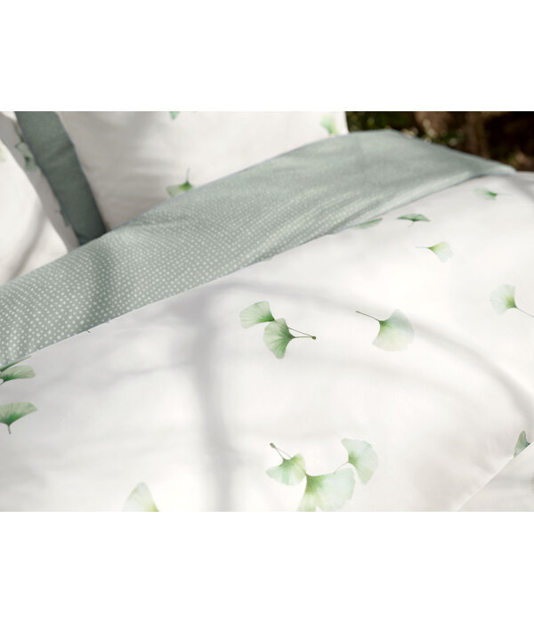 Schlossberg Aiko blanc 300TC