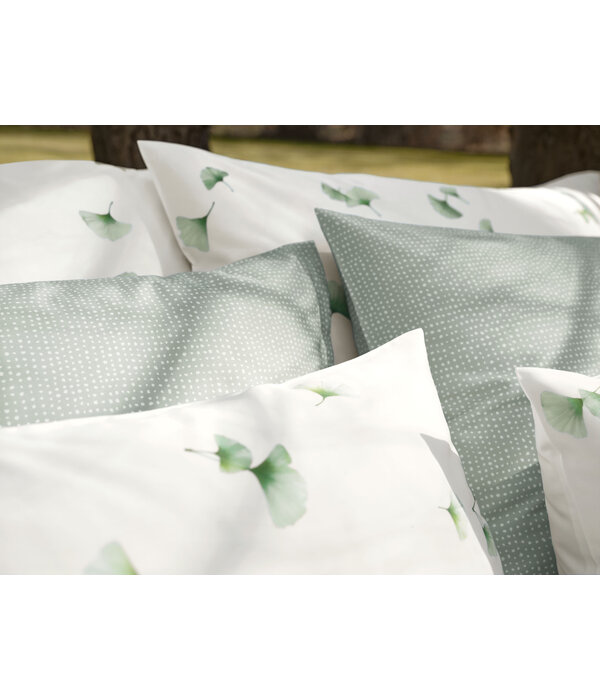 Schlossberg Aiko blanc 300TC