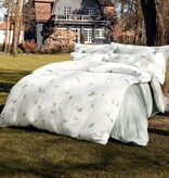 Schlossberg Aiko blanc 300TC