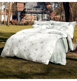 Schlossberg Aiko blanc 300TC