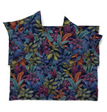 Schlossberg Aramis bleu 300TC