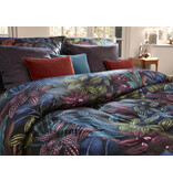 Schlossberg Aramis bleu 300TC