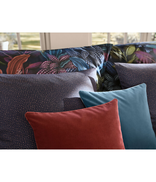 Schlossberg Aramis bleu 300TC