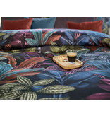 Schlossberg Aramis bleu 300TC