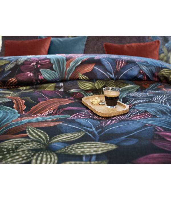 Schlossberg Aramis bleu 300TC